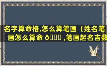 名字算命格,怎么算笔画（姓名笔画怎么算命 💐 ,笔画起名吉数）